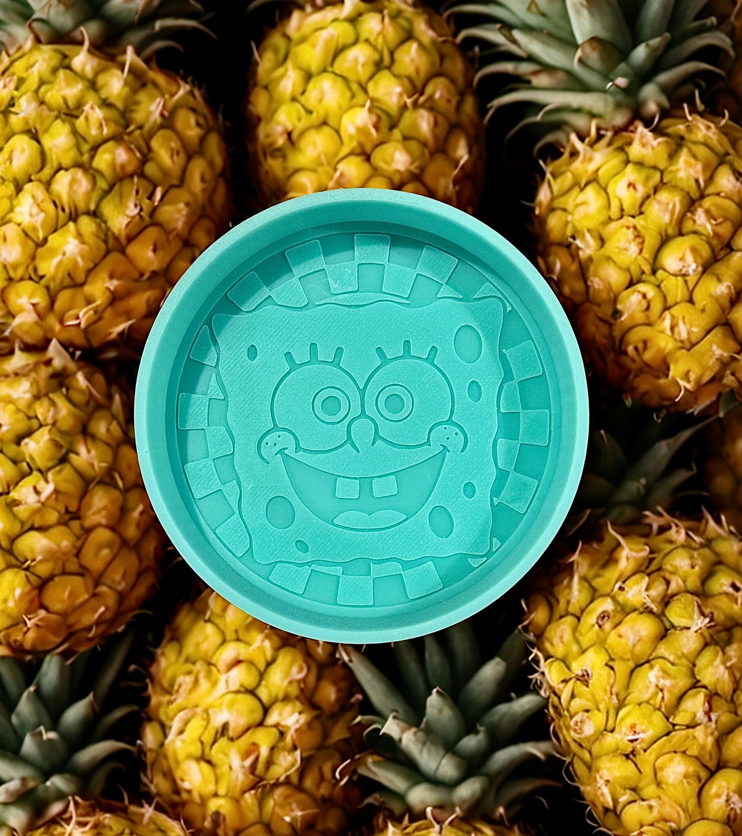 Sponge bob checkered round