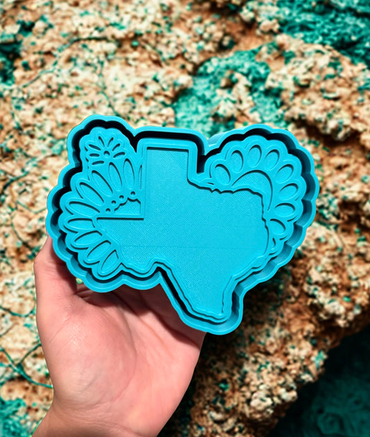 Texas turquoise conchos￼