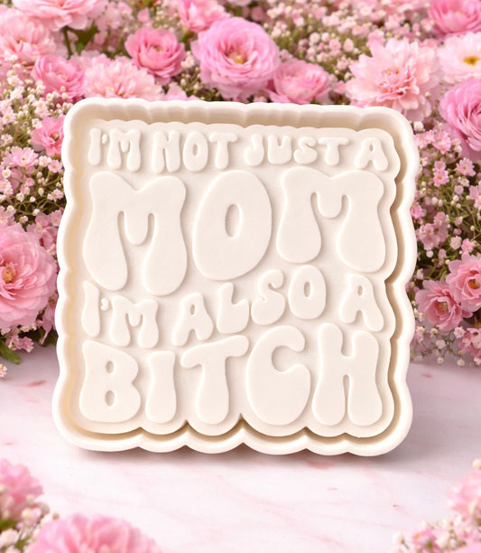 I’m not just a mom