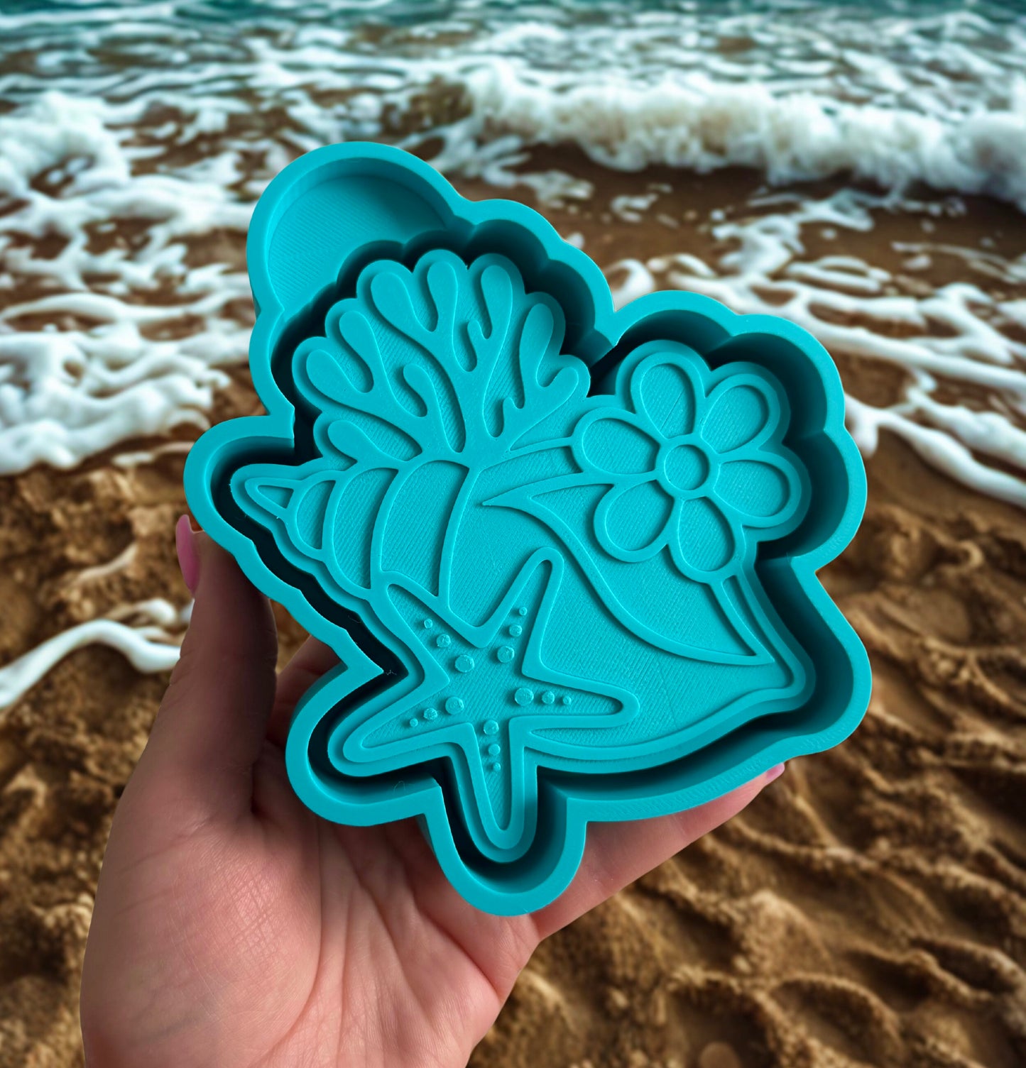 Seashell cluster