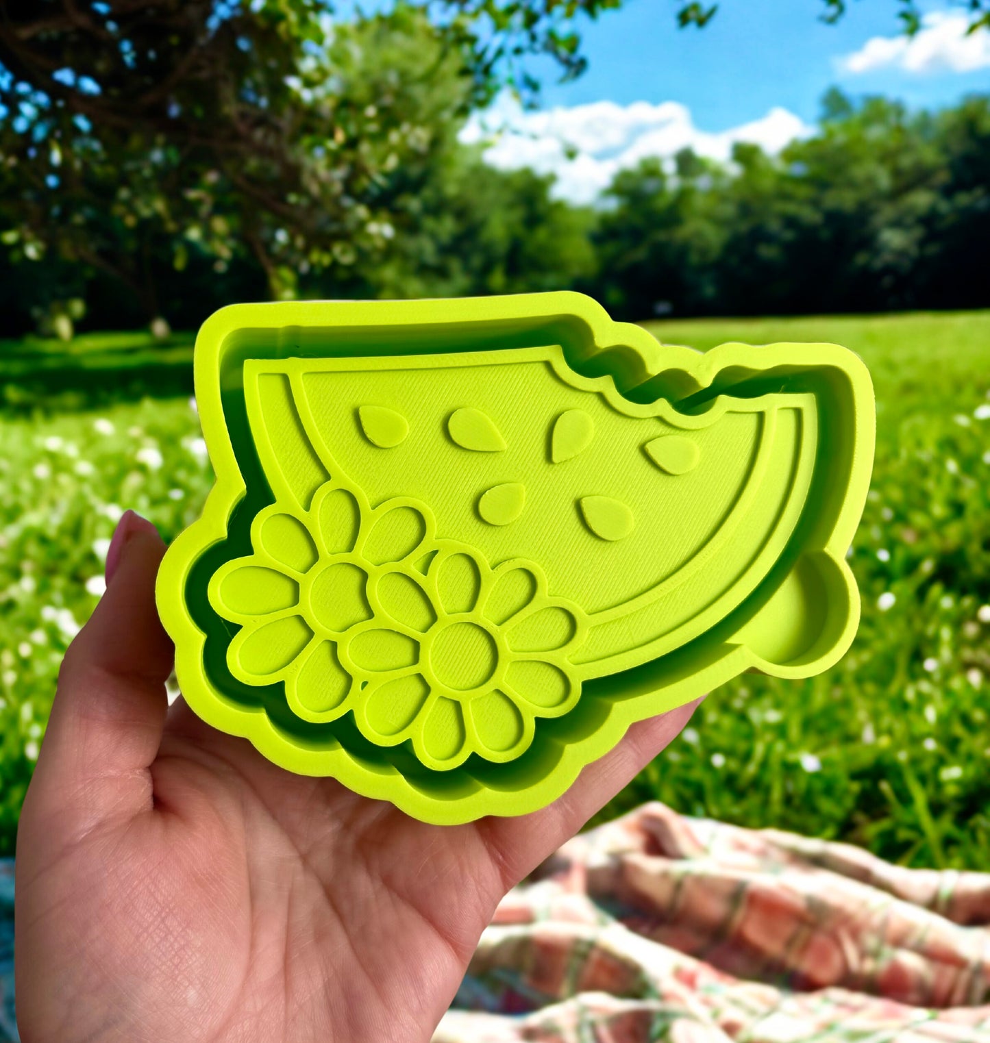 Watermelon slice