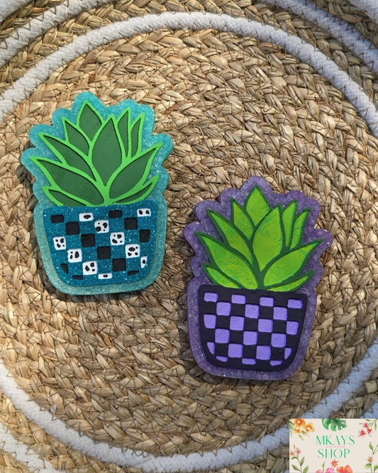 succulent pot